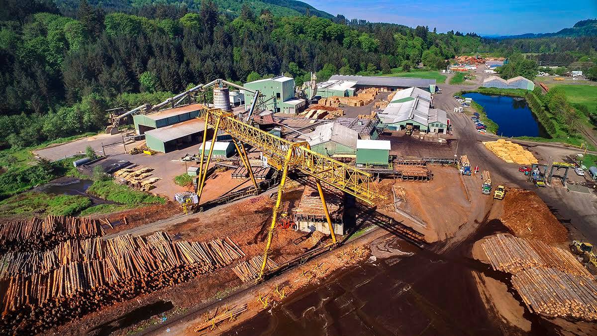 Aerial view of Freres Engineered Woodmpany’s mill with stacked logs, factories, machinery, and surrounding green forest.