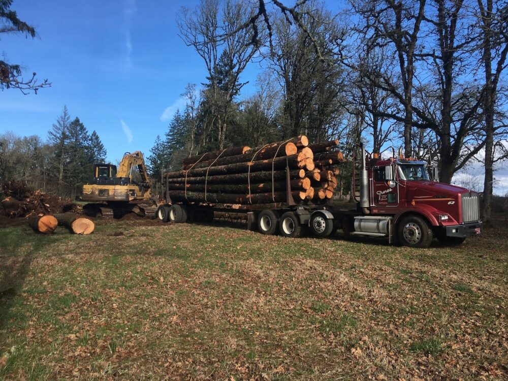 A red semi-truck loaded with logs, part of the local log production process, is parked near an excavator in a wooded area.
