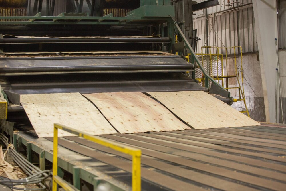 Sheets of plywood move along a conveyor belt inside a lumber or industrial plywood wood processing facility.