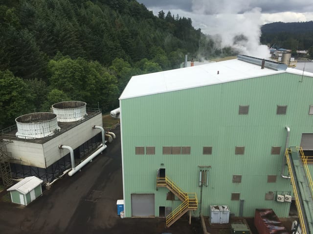 Green industrial building with cooling towers, surrounded by trees and steam rising in the background.