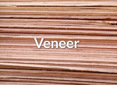 Stack of thin wooden veneer sheets with the word Veneer written across the center, featuring Ventek technology for enhanced quality and precision.