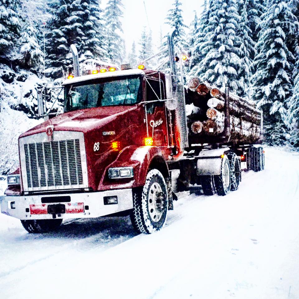 A red logging truck loaded with logs, soon to be turned into plywood, drives through a snowy forested road in winter.