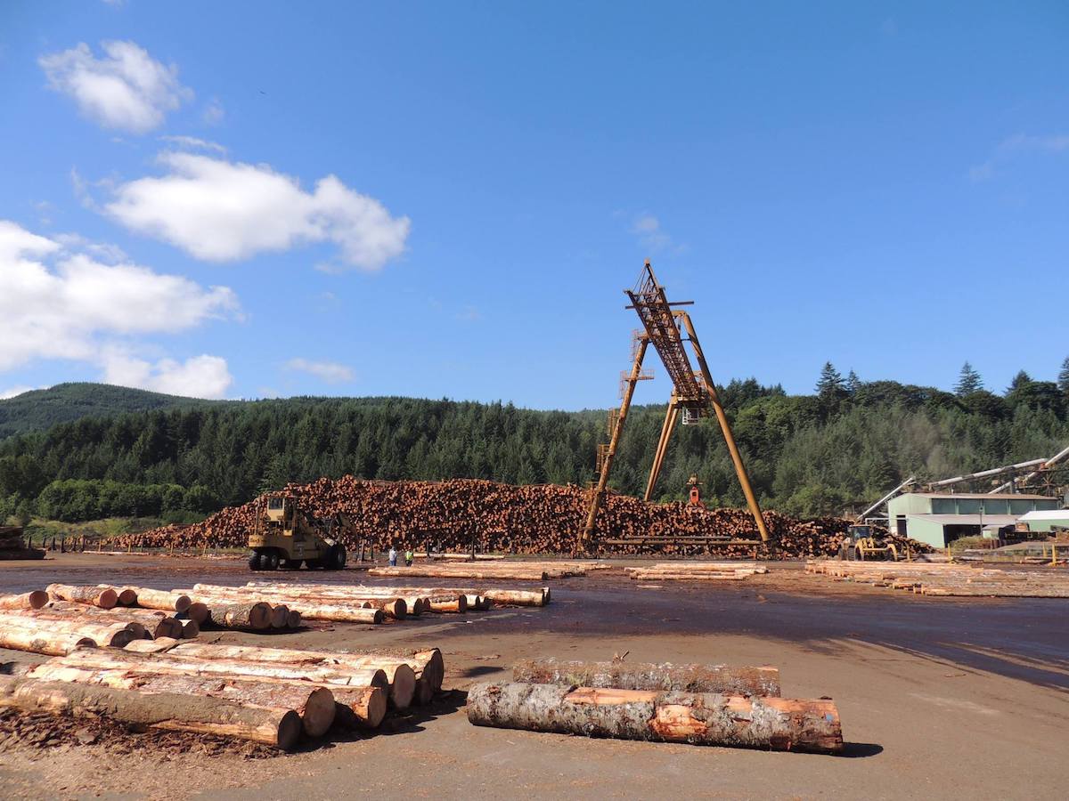 Large piles of cut logs and industrial machinery at a lumber yard surrounded by forested hills.