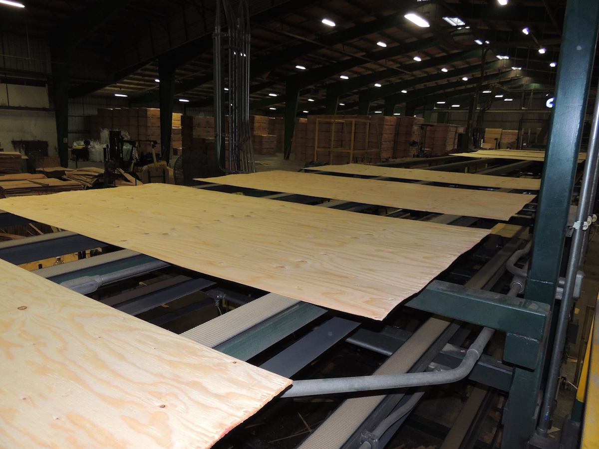 Sheets of plywood move along conveyor belts inside a large wood products manufacturing facility.