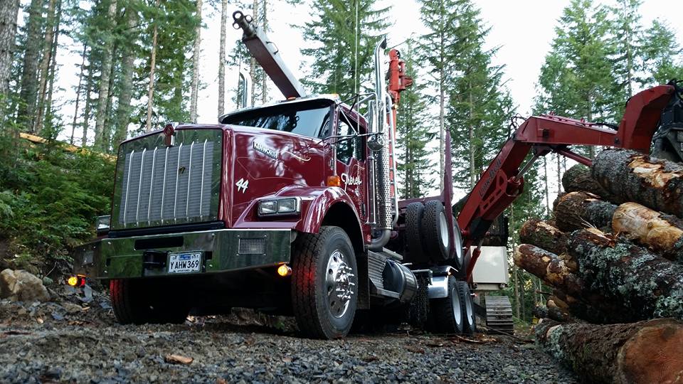 A red logging truck loads logs in a forest, surrounded by tall evergreen trees and wet ground—a scene shaped by changing .