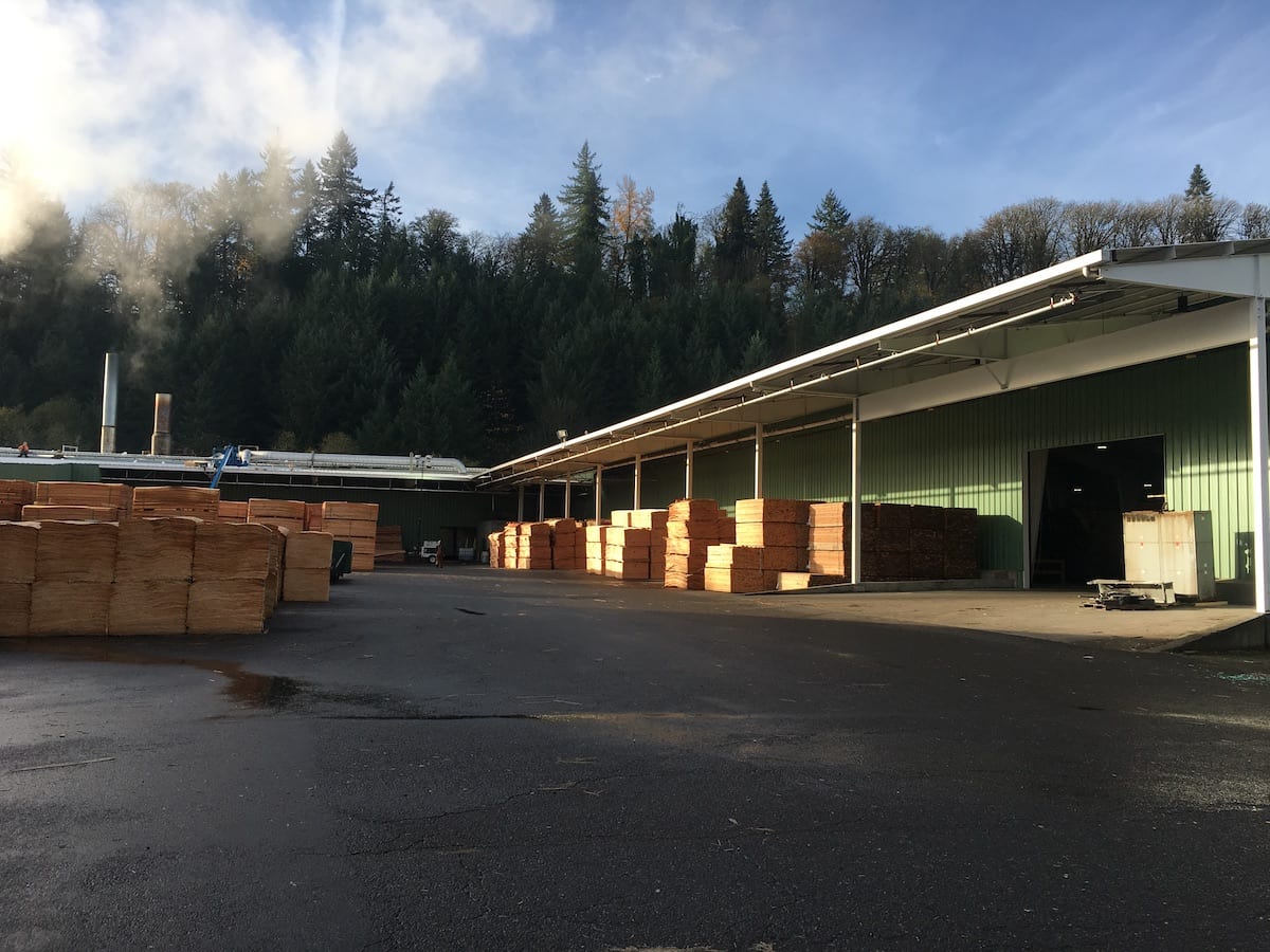 Stacks of plywood, part of the Winter Plywood Sales, are neatly arranged outside a large green warehouse near a forested area.