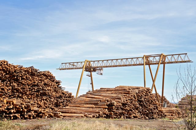 Large stacks of cut logs with a yellow industrial crane under a blue sky at a lumberyard.