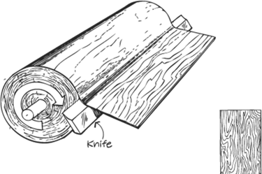Illustration of the veneer peeling process used to produce engineered wood and mass timber products.