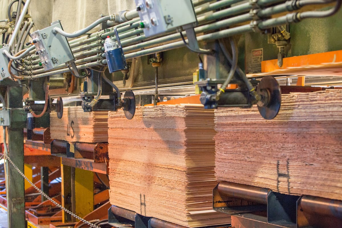 Workers assembling a large mass timber installation at the 2019 International Mass Timber Conference.