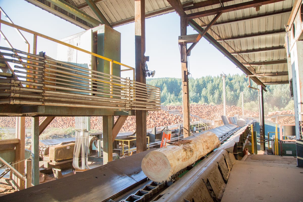 Log on a conveyor belt inside a sawmill with stacks of logs in the background.
