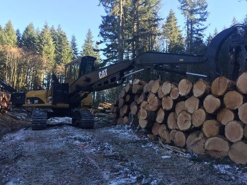 God made a logger