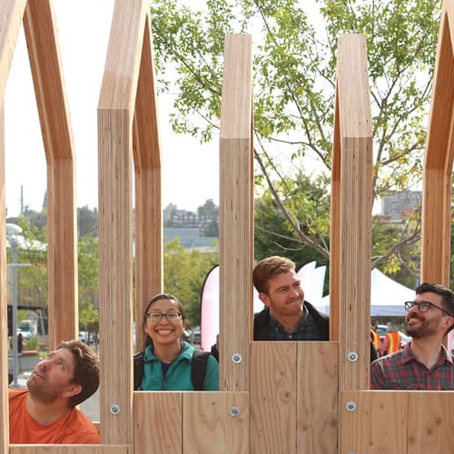 Timber News