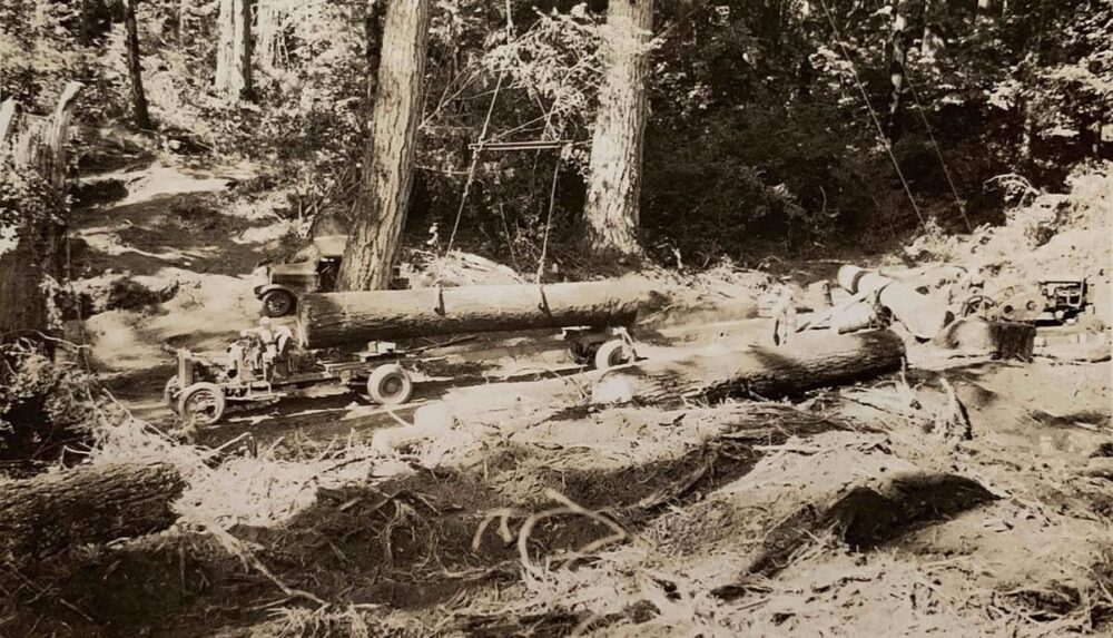 Log Trucks
