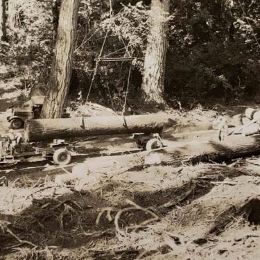 Log Trucks