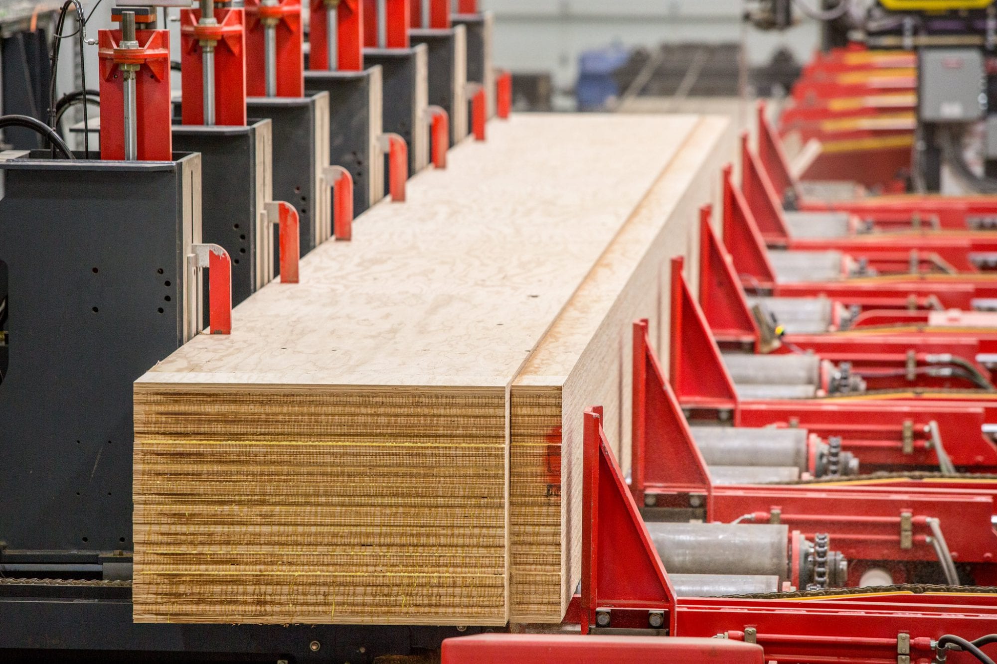 Sheets of plywood stacked on a conveyor system with red rollers—an efficient setup that .