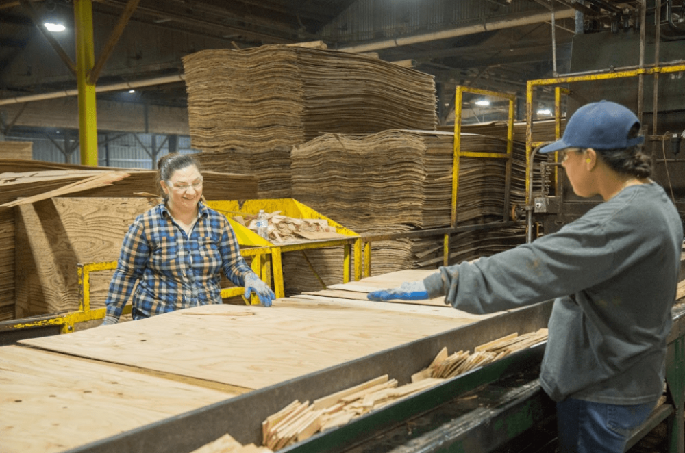 Two workers in a factory sort sheets of plywood by hand, with stacks of wood panels in the background.