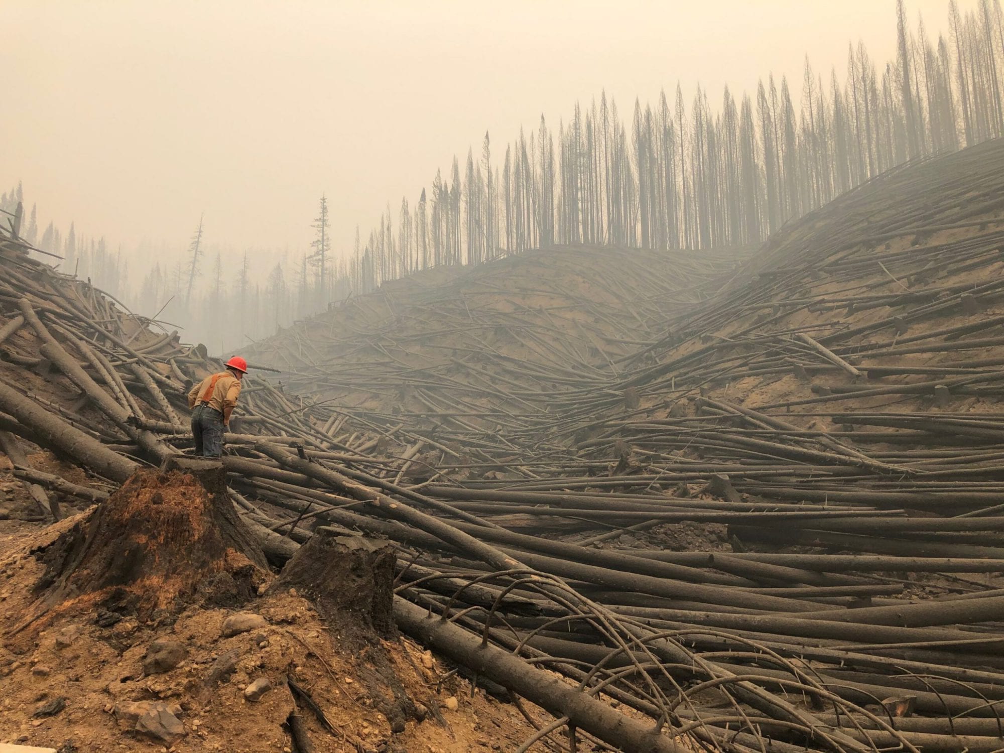 oregon fire season