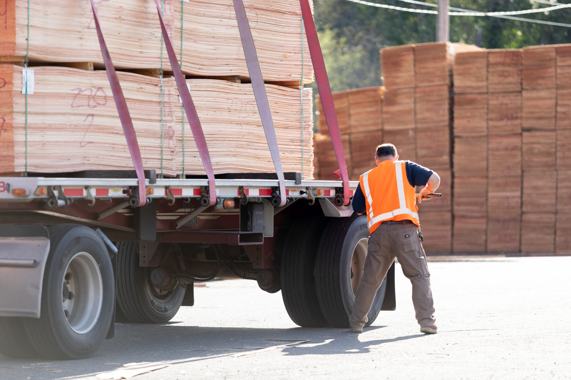 plywood commodity market