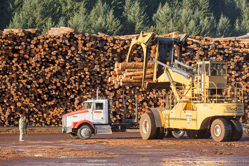 commodity plywood market